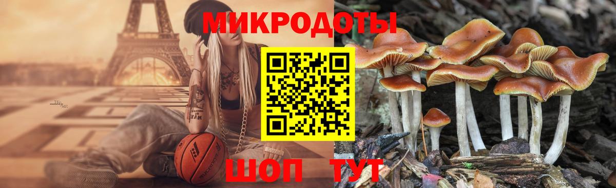 Светлоград  Галлюциногенные грибы Psilocybe  Вход с VPN  Галлюциногенные грибы Magic Shrooms 